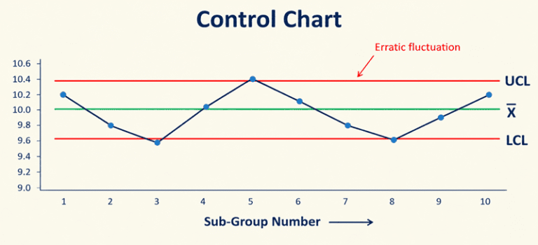 Erratic_Fluctuation
